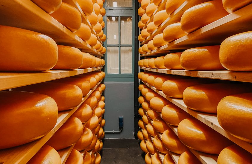 Cheese Valley: Ein Besuch im grünen Herzen von Holland