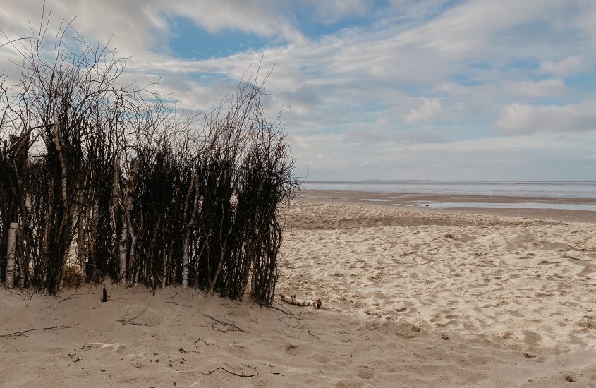 Cuxhaven: Nachhaltiger Nordsee-Urlaub für Naturliebhaber