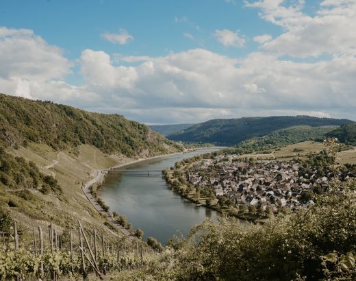 Ausblick auf die Mosel in Kröv