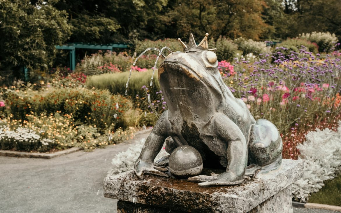 Botanischer Garten Hof Froschbrunnen