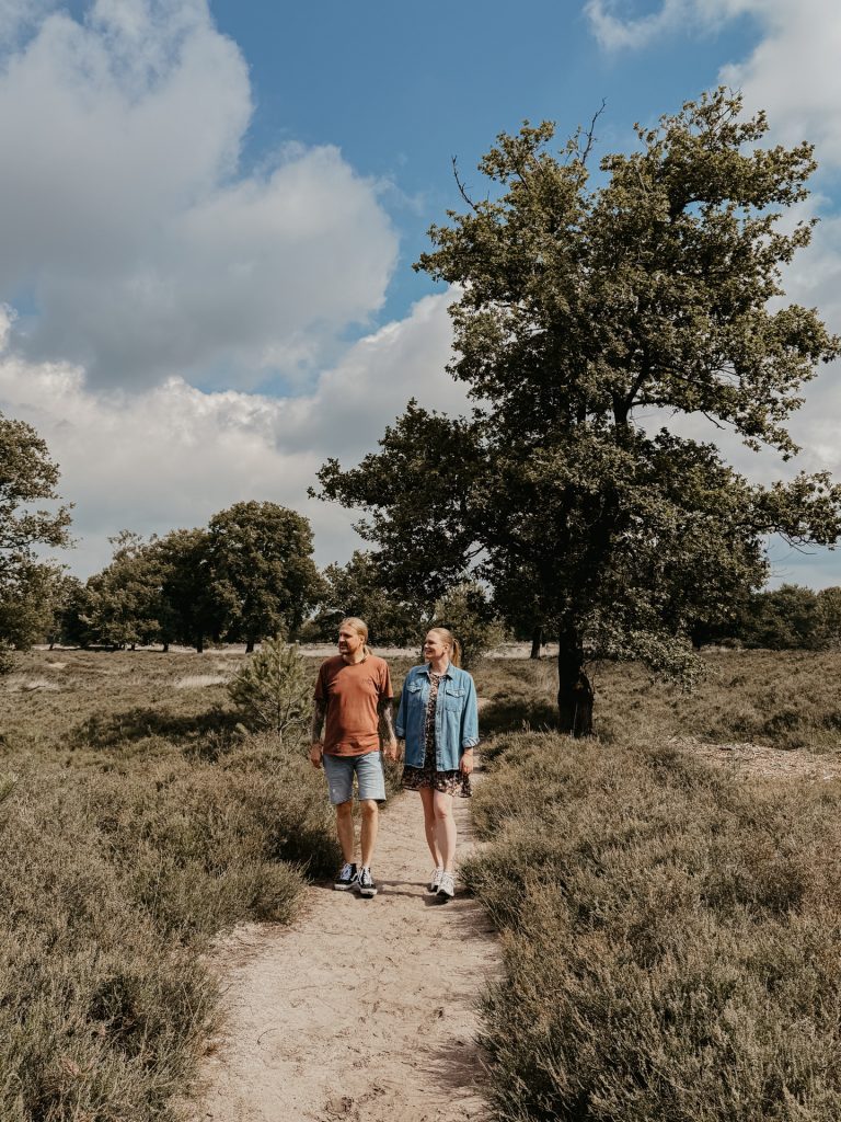 Naturschutzgebiet De Kampina Brabant