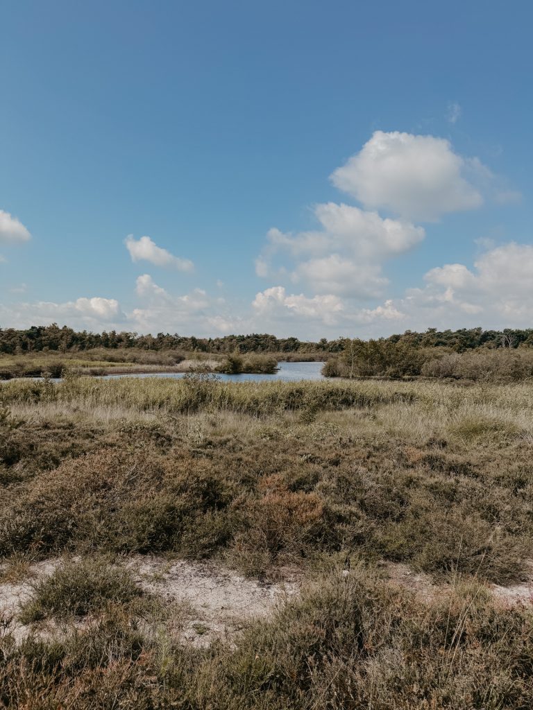Naturschutzgebiet De Kampina Brabant