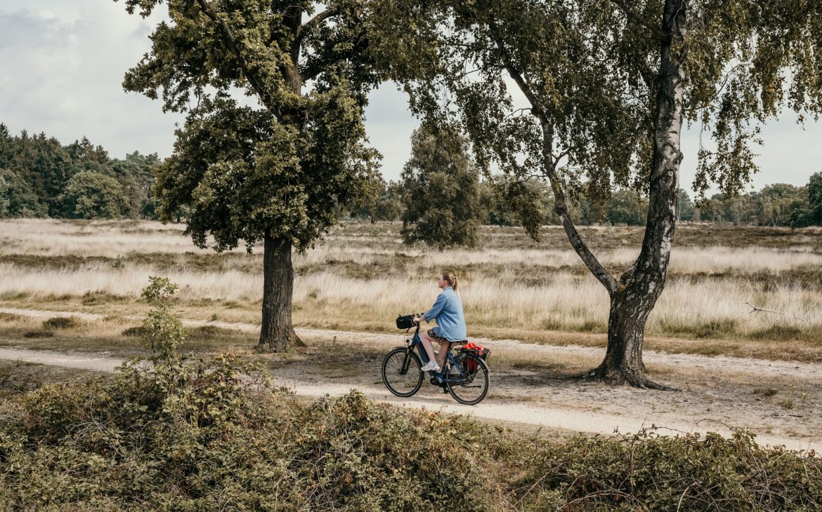 Naturschutzgebiet De Kampina Brabant