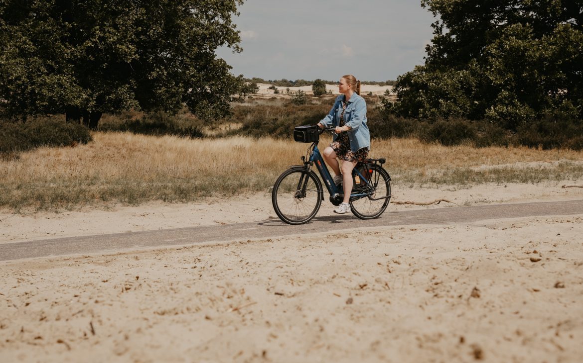 Nationalpark Loonse en Druense Duinen