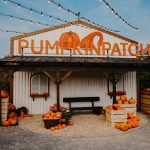 Gertrudenhof Köln Hürth