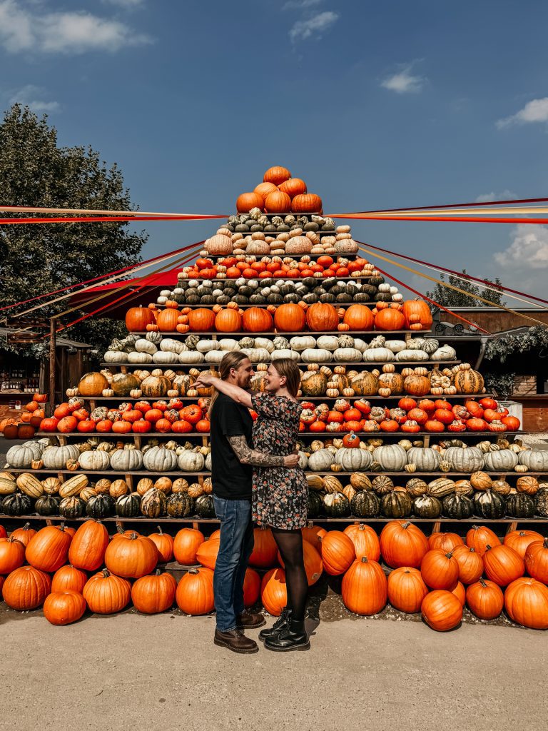 Kürbispyramide Gertrudenhof Hürth