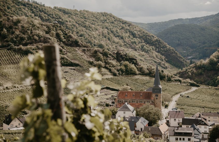 Ahrtal entdecken: Wein, Wandern & Naturhighlights in Rheinland-Pfalz