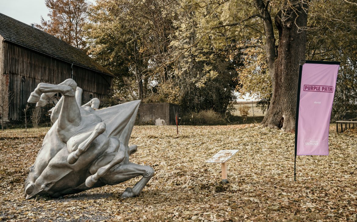 Purple Path Erzgebirge