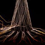 Mythos Wald im Gasometer Oberhausen: Lohnt sich die Ausstellung?